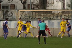 IMG_7637_1
