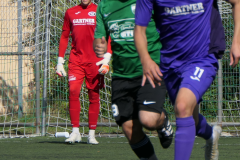 P1030528