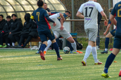 P1110233_DxO