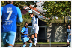 batch_2DSC_6237_1840SVR-23.08.23_Nikon