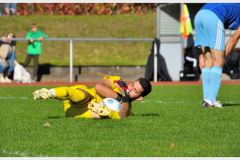 batch_2DSC_6305_1867SVR-23.08.23_Nikon