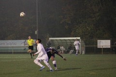 IMG_4261