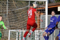 batch_2DSC_4435_Radiant-2