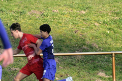 batch_2DSC_4447_Radiant