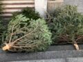 Christbaumsammlung 2026